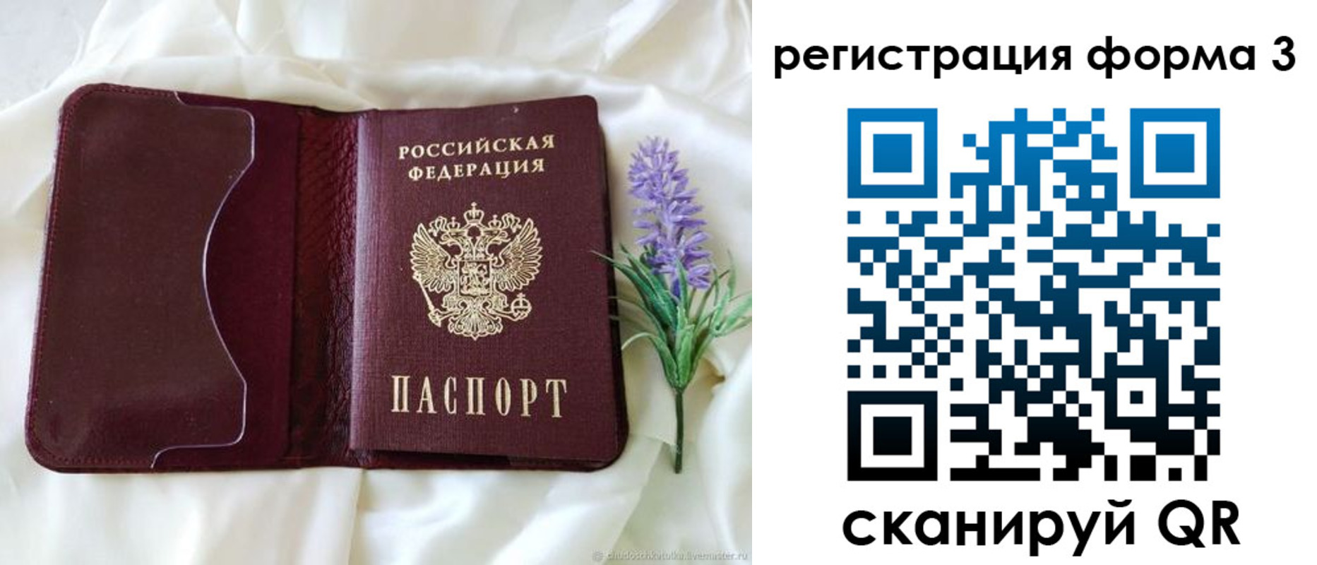 прописка для работы в Ельне